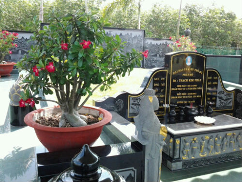 Và[-]dàn[-]hoa[-]bonsai,[-]cây[-]cối[-]được[-]những[-]người[-]coi[-]mộ[-]cắt[-]tỉa[-]rất[-]cẩn[-]thận